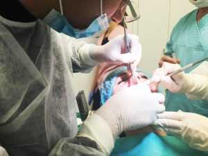 clinica-dentista low cost belgrado